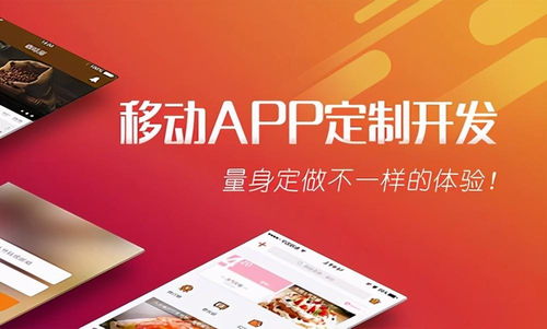 軟件開發(fā)外包公司聚集地世界排名