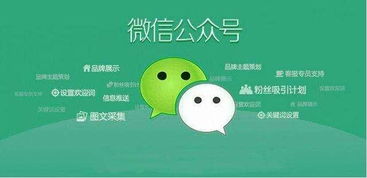 小程序開發和公眾號開發哪個好