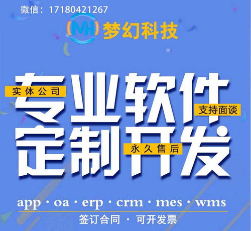夢幻網絡圖表軟件定制開發公司開發搭建軟件開發獨立部署