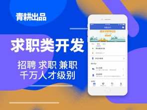 定制軟件開發的優缺點是什么 安徽青耕