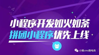 小程序開發如火如荼,小豬cms電商拼團小程序優先上線