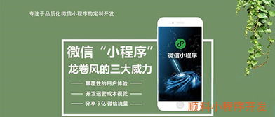 深圳小程序開發(fā),小程序源碼的重要性